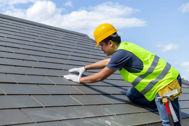 Best Residential Roofing Contractor  in New Rockford, ND