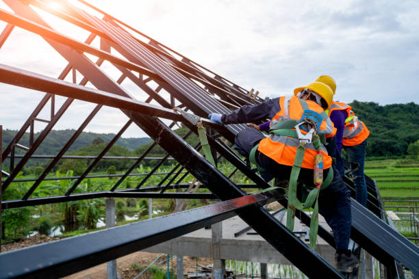 Best Roof Maintenance Services  in New Rockford, ND