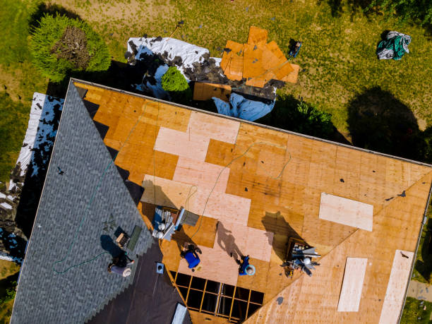 Best Roof Restoration Services  in New Rockford, ND