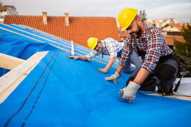 Best Roof Repair Services  in New Rockford, ND