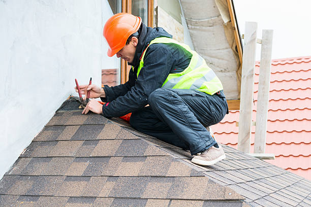 Best Roof Restoration Services  in New Rockford, ND