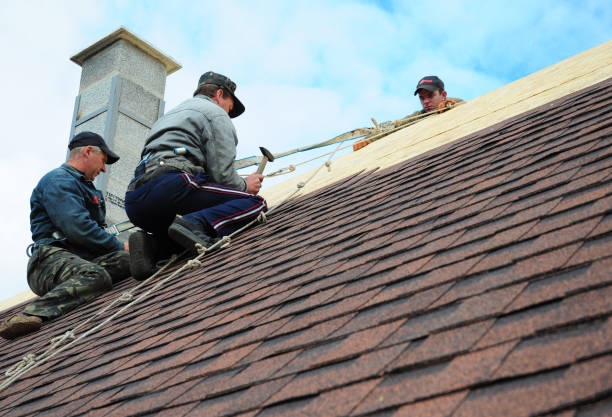Best Roof Maintenance Services  in New Rockford, ND
