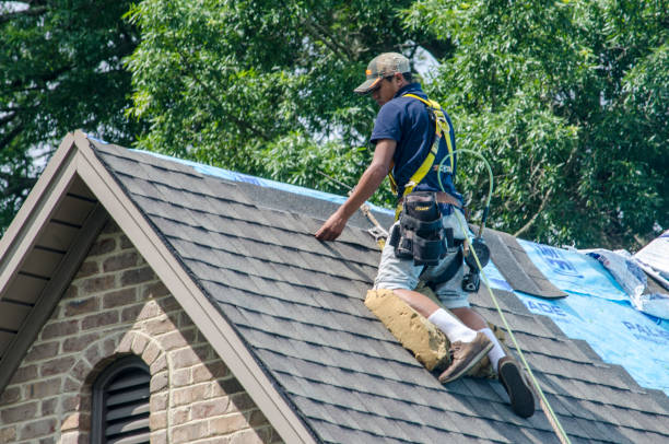 Best Commercial Roofing Services  in New Rockford, ND